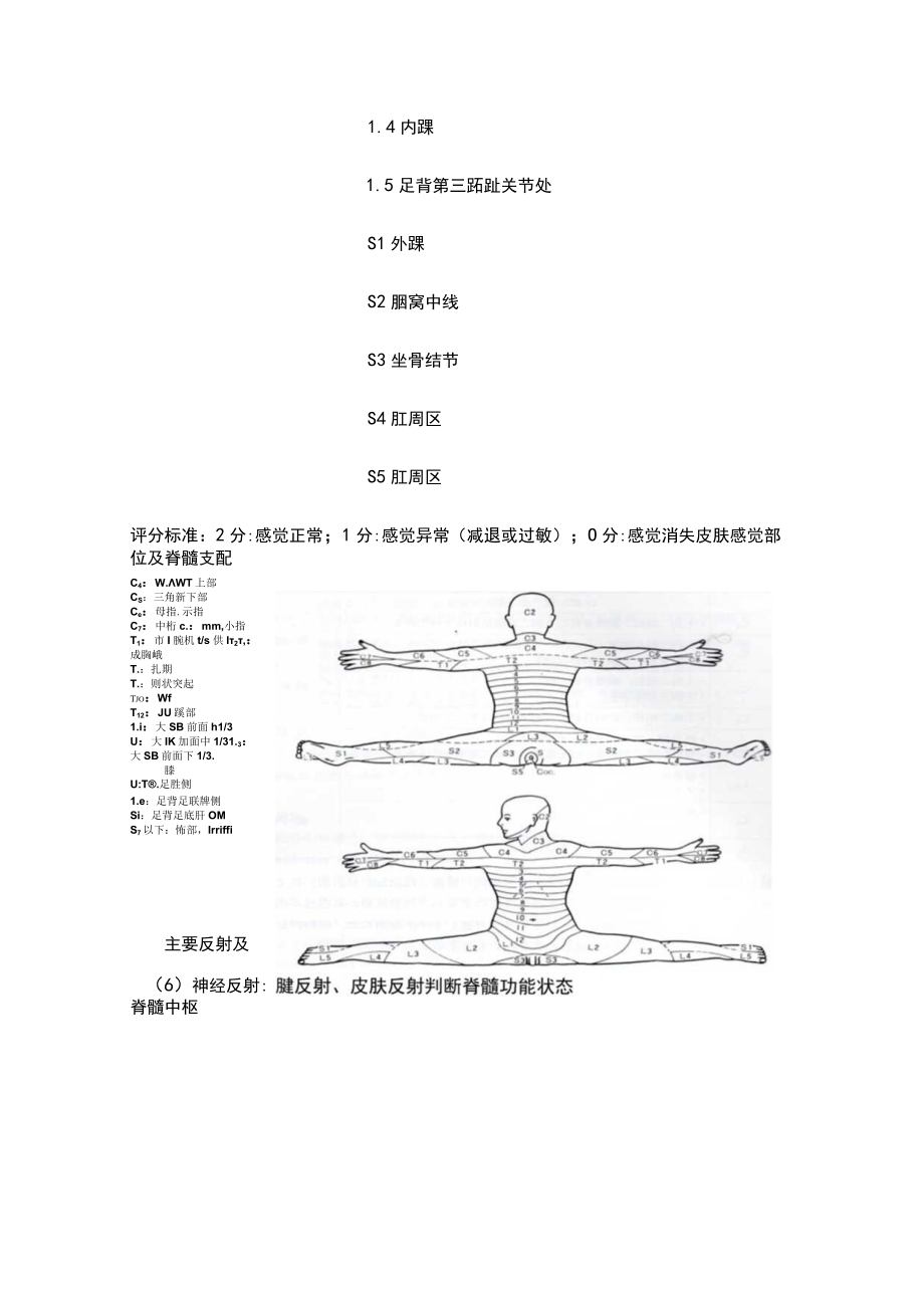 康复医学科脊髓损伤的评定表.docx_第3页