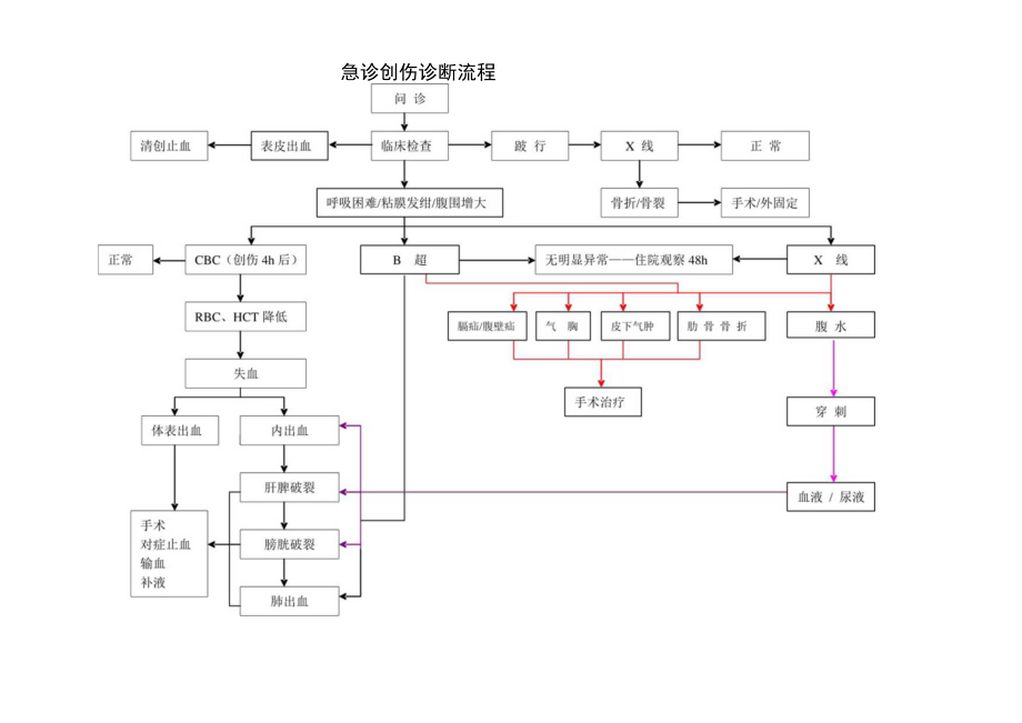 宠物动物急诊创伤诊断流程.docx_第1页