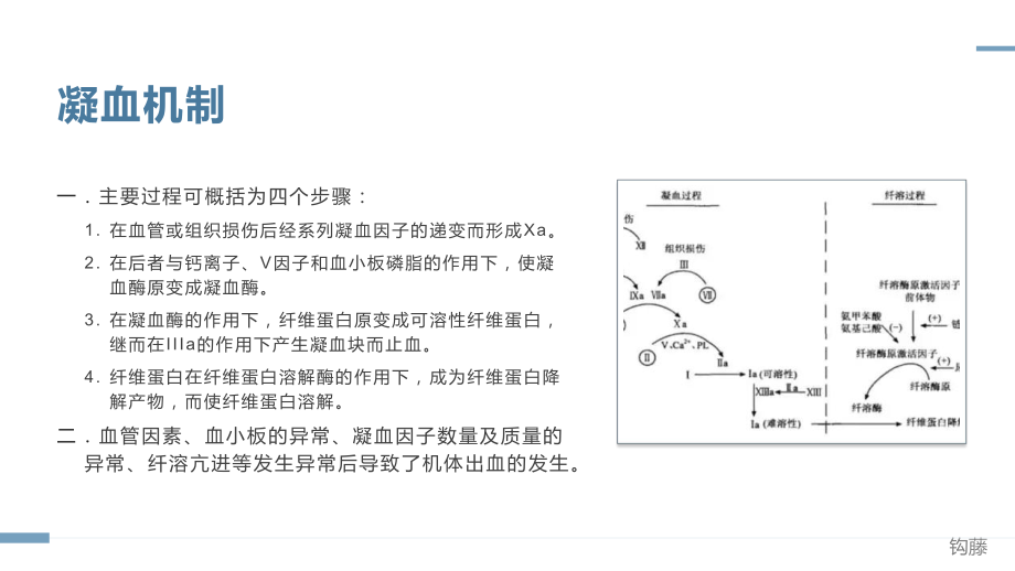 止血药的临床应用.pptx_第3页