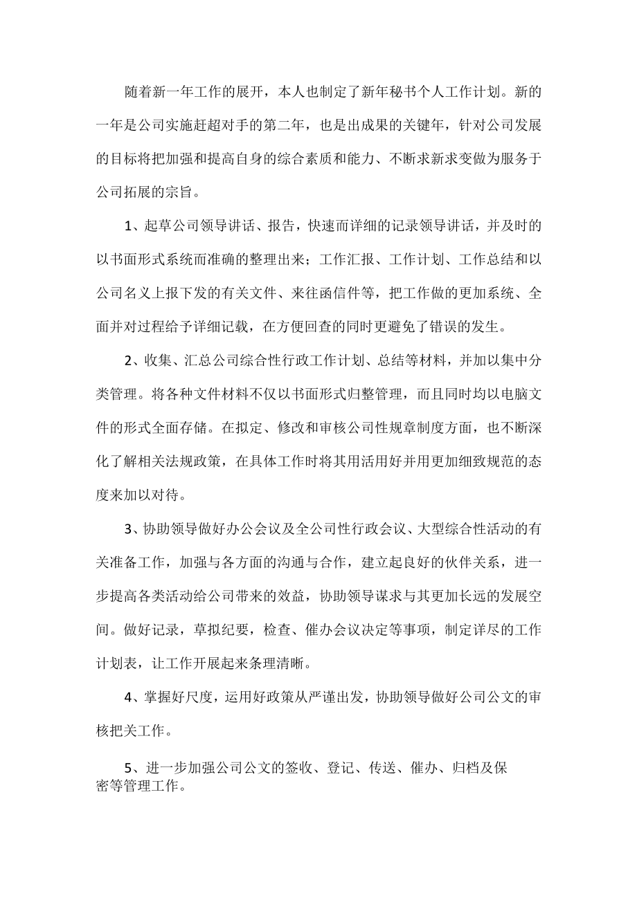 公司秘书工作计划.docx_第1页