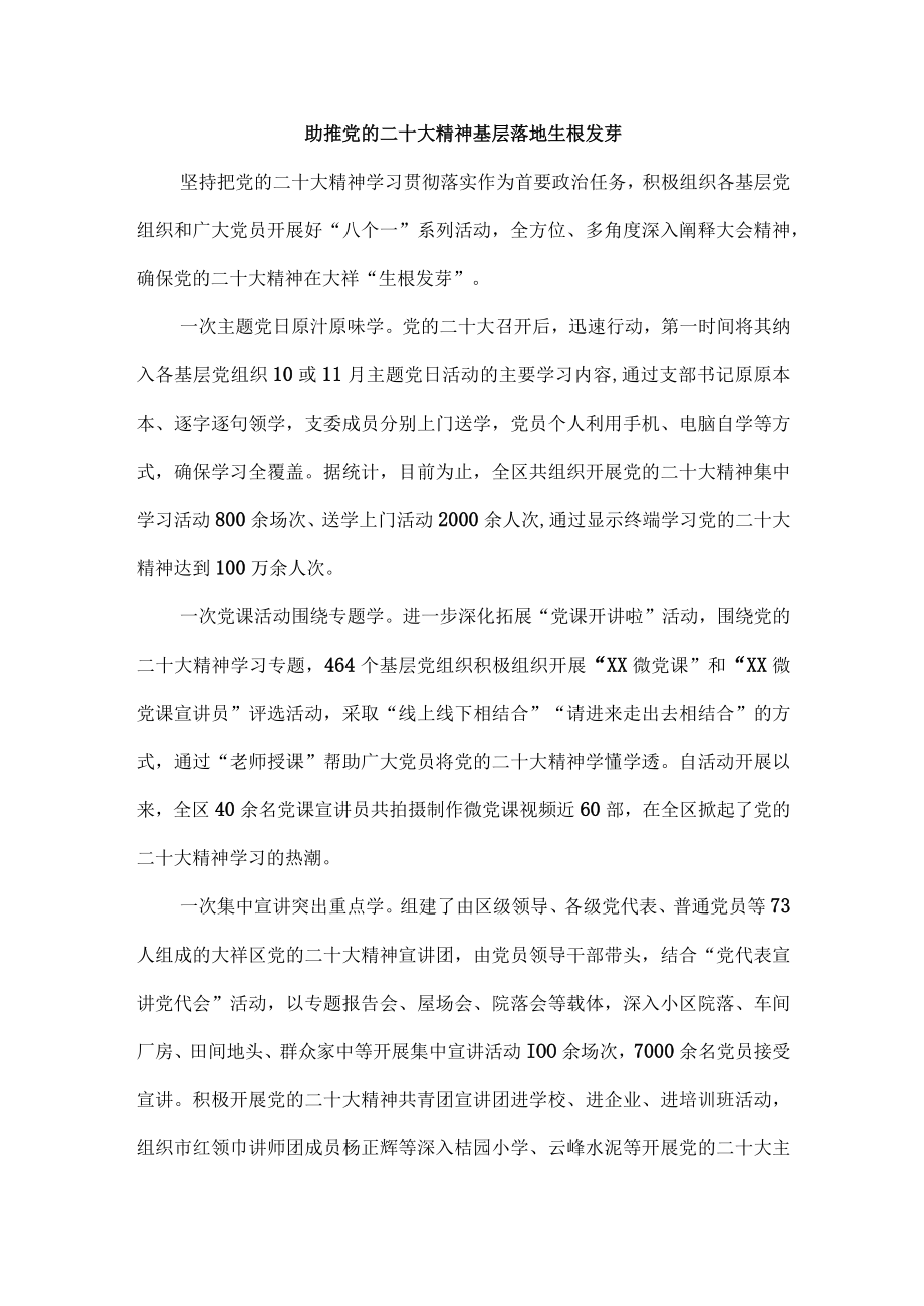 笃行不怠 让党的二十大精神在基层落地生根.docx_第1页