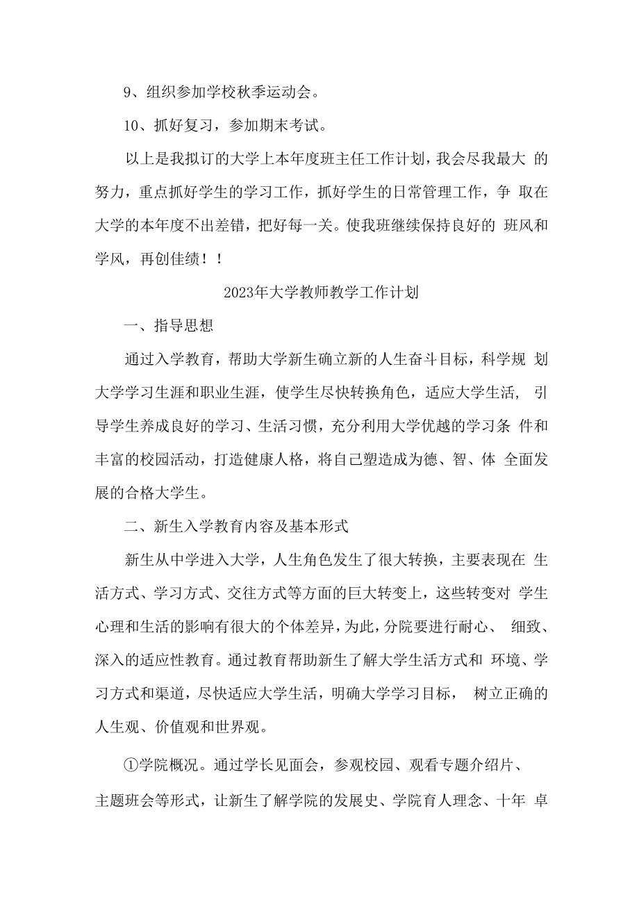 2023年大学教师教学工作计划 (精品三份).docx_第3页