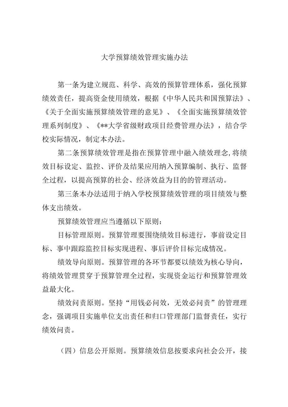 大学预算绩效管理实施办法.docx_第1页