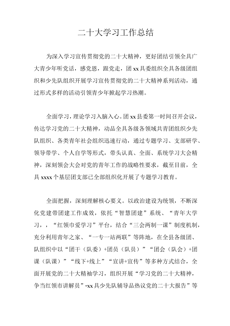 二十大学习工作总结.docx_第1页