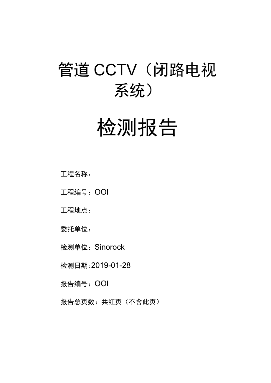 管道CCTV闭路电视系统检测报告.docx_第1页