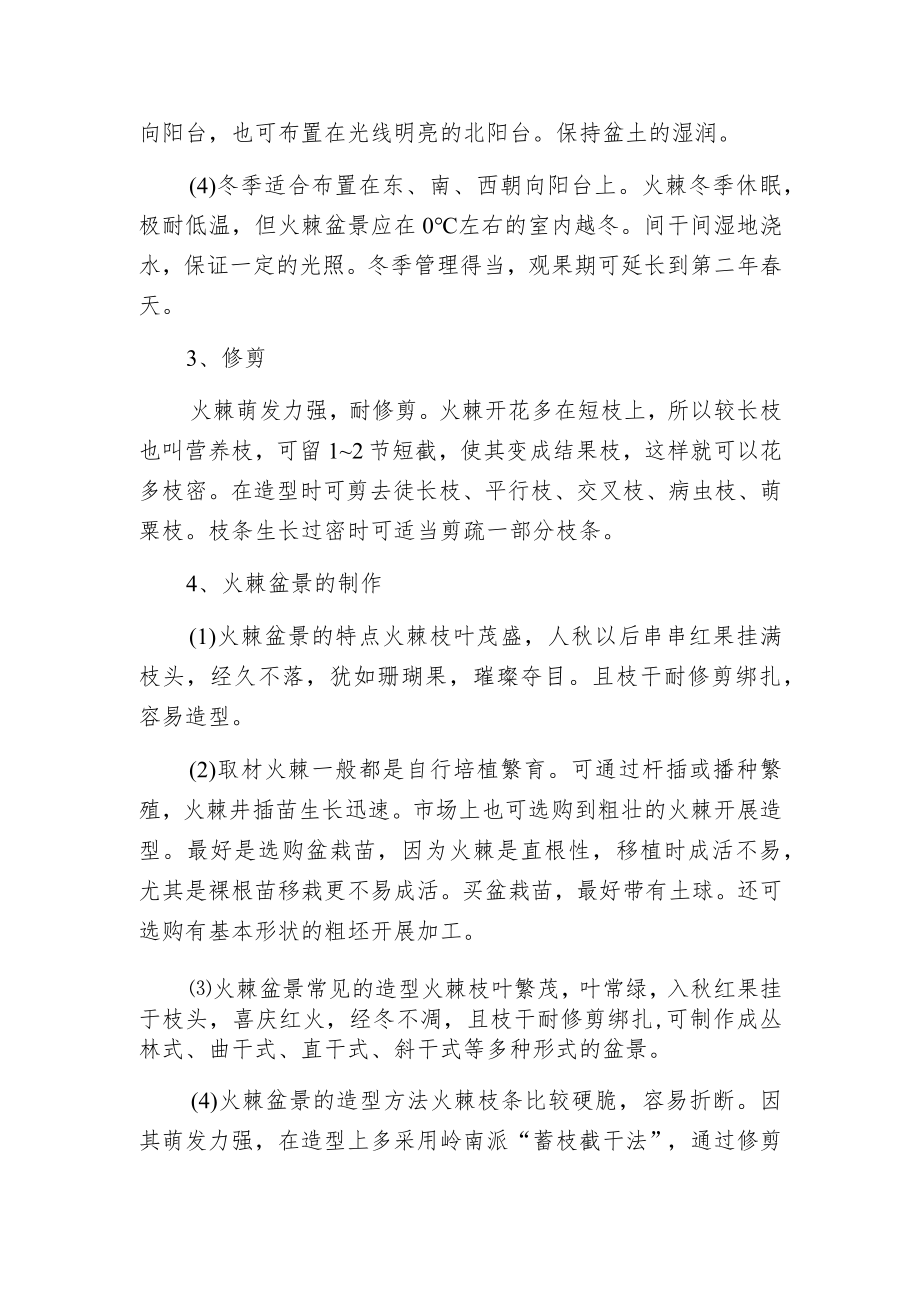 火棘栽培修剪及火棘盆景的制作方法.docx_第2页