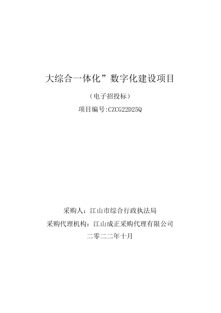 “大综合一体化”数字化建设项目.docx_第1页