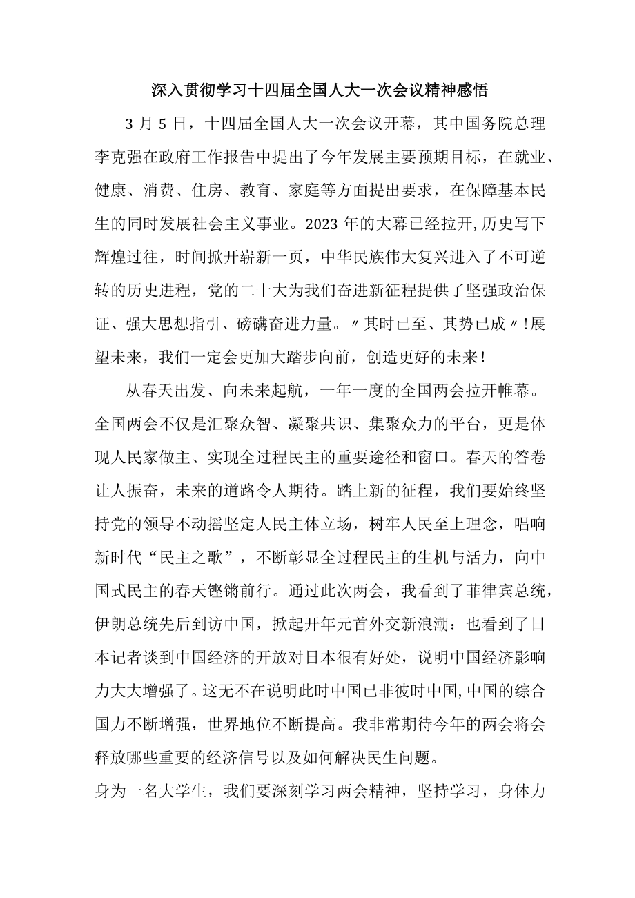 大学校长深入贯彻学习十四届全国人大一次会议精神感悟.docx_第1页