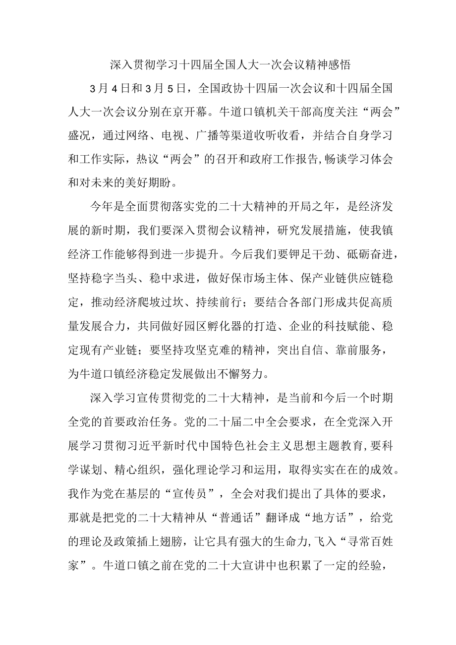 国企总经理深入贯彻学习十四届全国人大一次会议精神感悟.docx_第1页