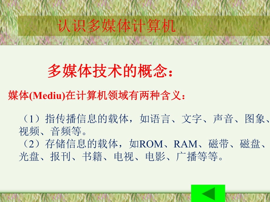 认识多媒体计算机.ppt_第1页