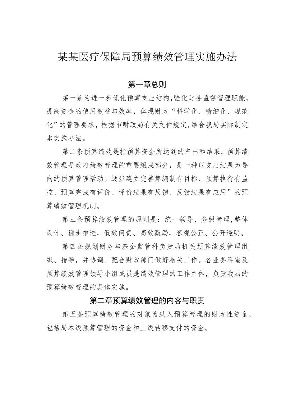 某某医疗保障局预算绩效管理实施办法.docx_第1页