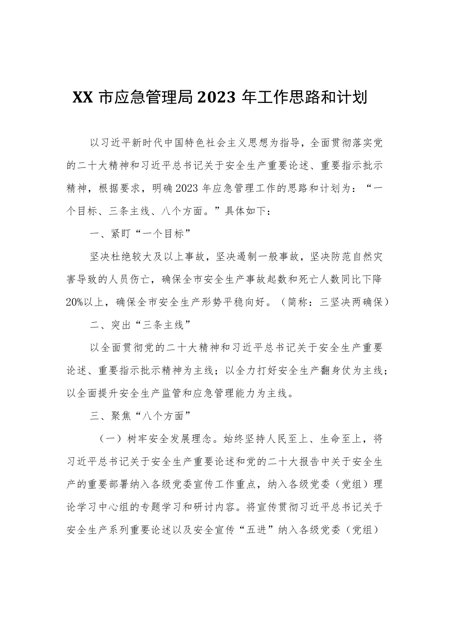 XX市应急管理局2023年工作思路和计划.docx_第1页