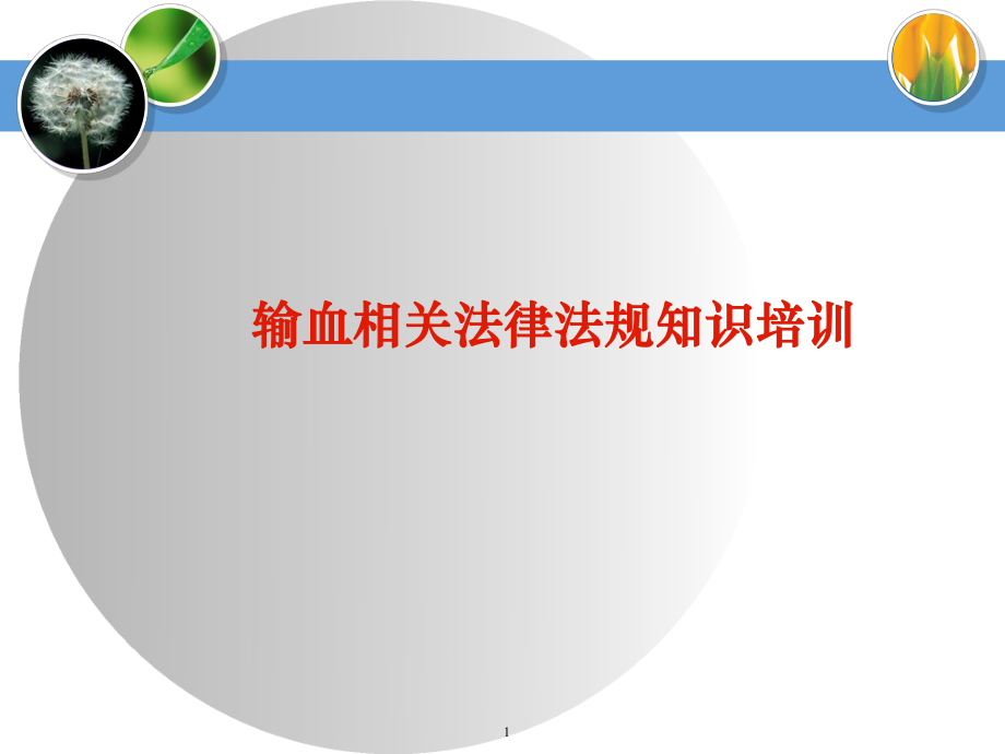 输血法律法规.ppt_第1页