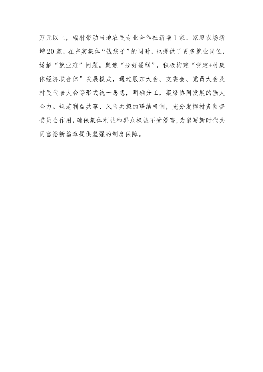 以“多村抱团”的发展模式创新成立“杭杭联赢”公司工作总结.docx_第3页