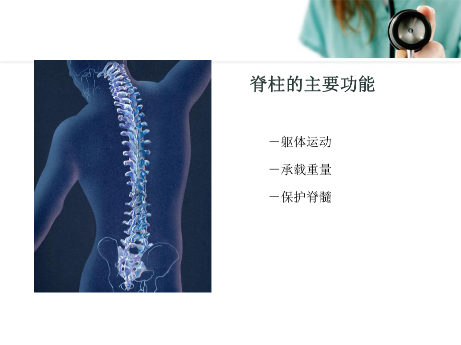 颈椎解剖概述医学PPT课件.ppt_第3页