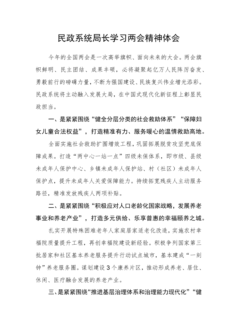 民政系统局长学习两会精神体会.docx_第1页