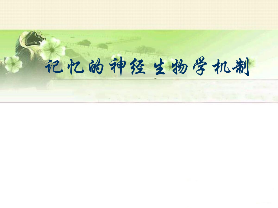 记忆的神经生物学机制.ppt_第1页