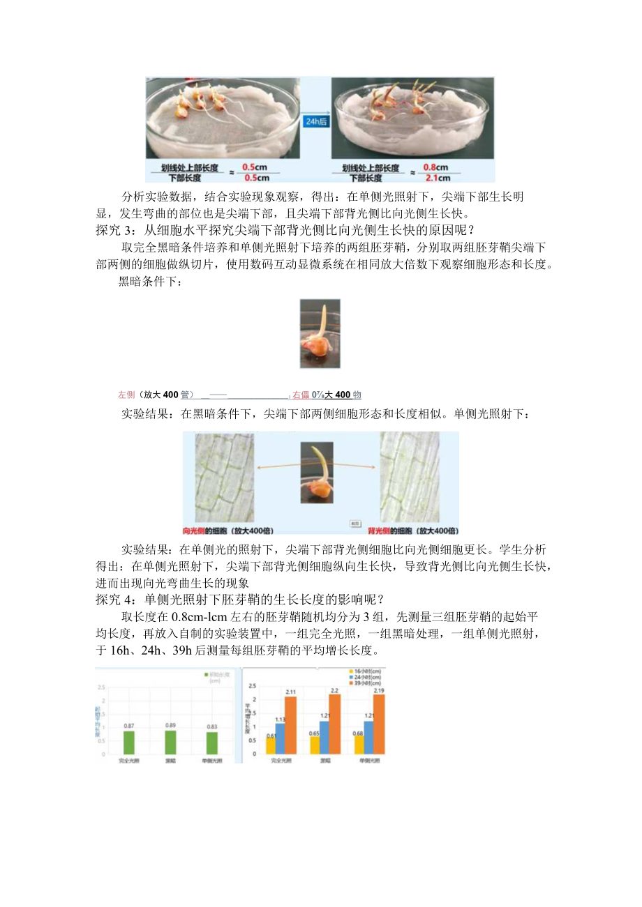 由玉米胚芽鞘向光性实验引发的系列探究（说课文稿）.docx_第3页