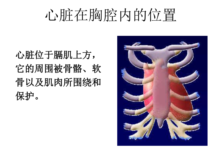 PTCA基础知识.ppt_第3页