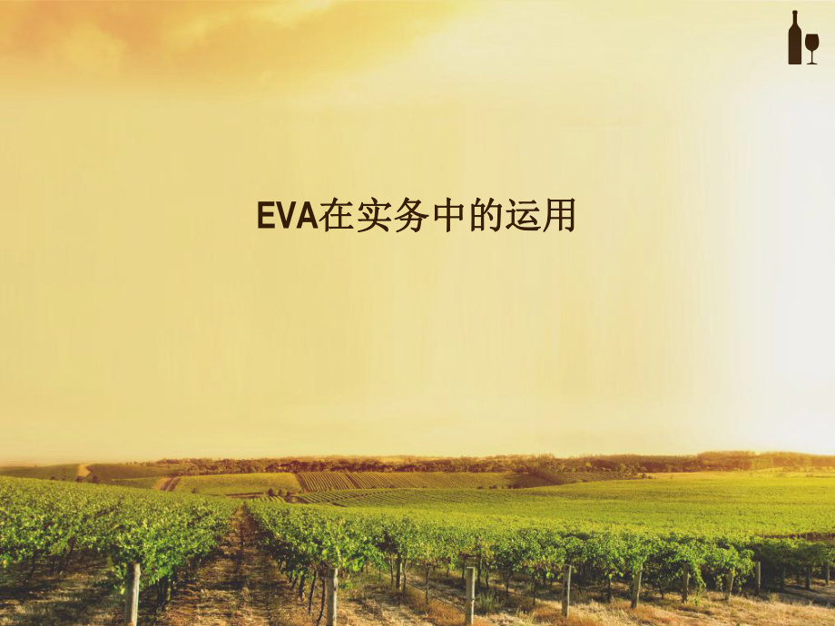 EVA案例分析.ppt_第1页