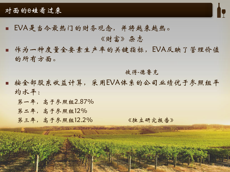 EVA案例分析.ppt_第2页