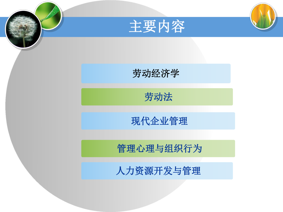 企业人力资源管理师(基础知识).ppt_第2页