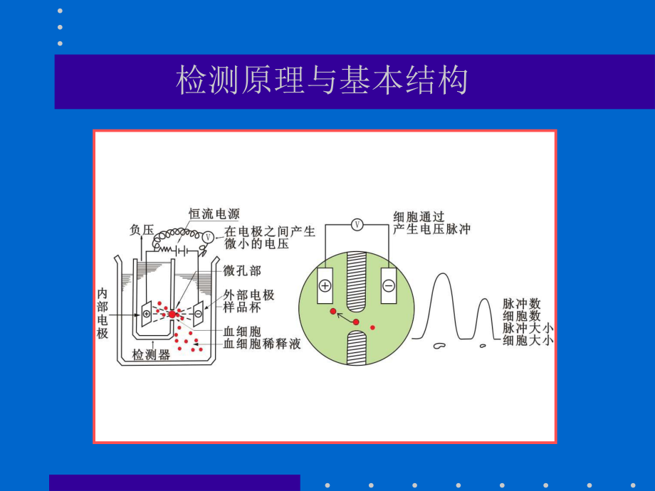 临床实验室三大常规.ppt_第3页