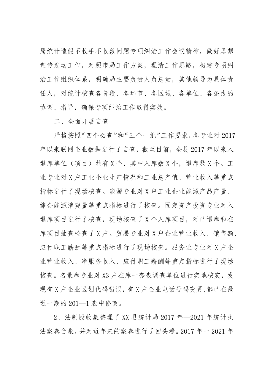 XX县统计工作及统计造假不收手不收敛问题专项纠治工作自查报告.docx_第2页