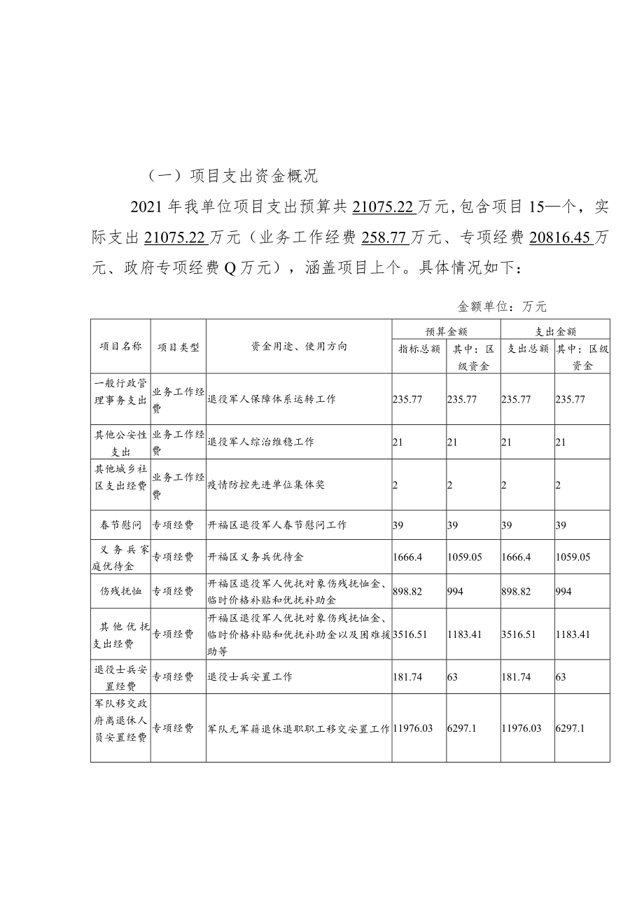 项目支出绩效自评报告.docx_第2页