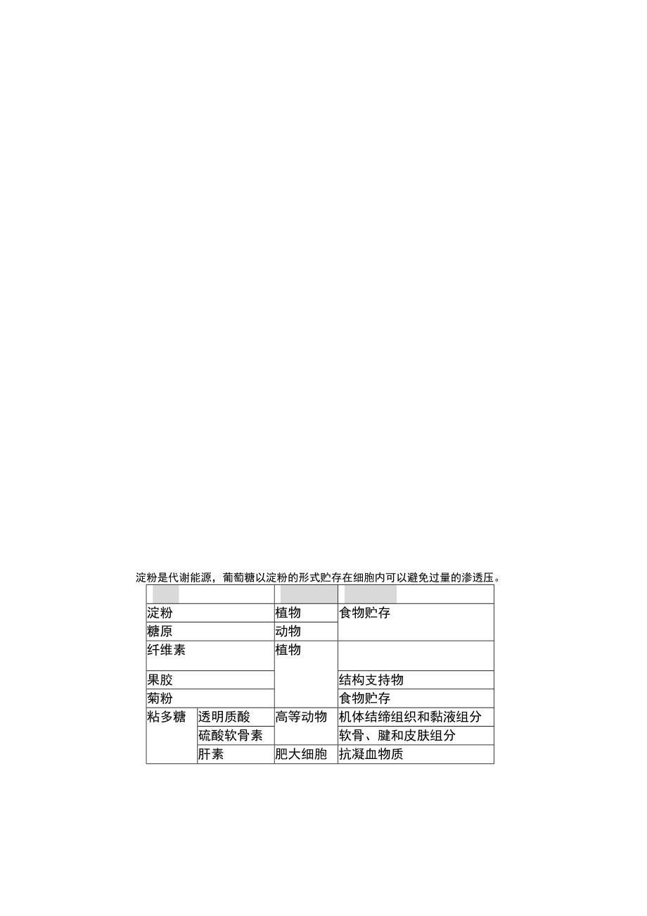 糖的基本概念.docx_第2页