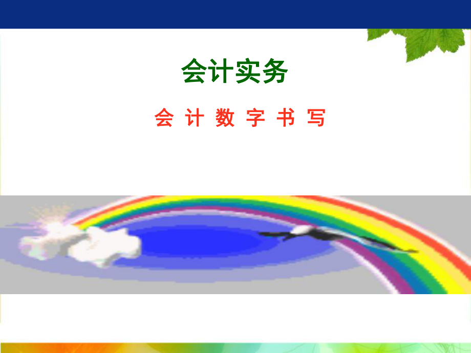 单招会计实务会计书写规范.ppt_第1页