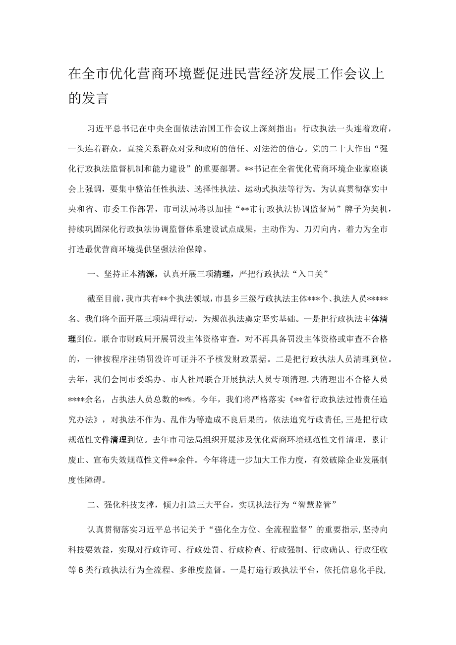 在全市优化营商环境暨促进民营经济发展工作会议上的发言.docx_第1页