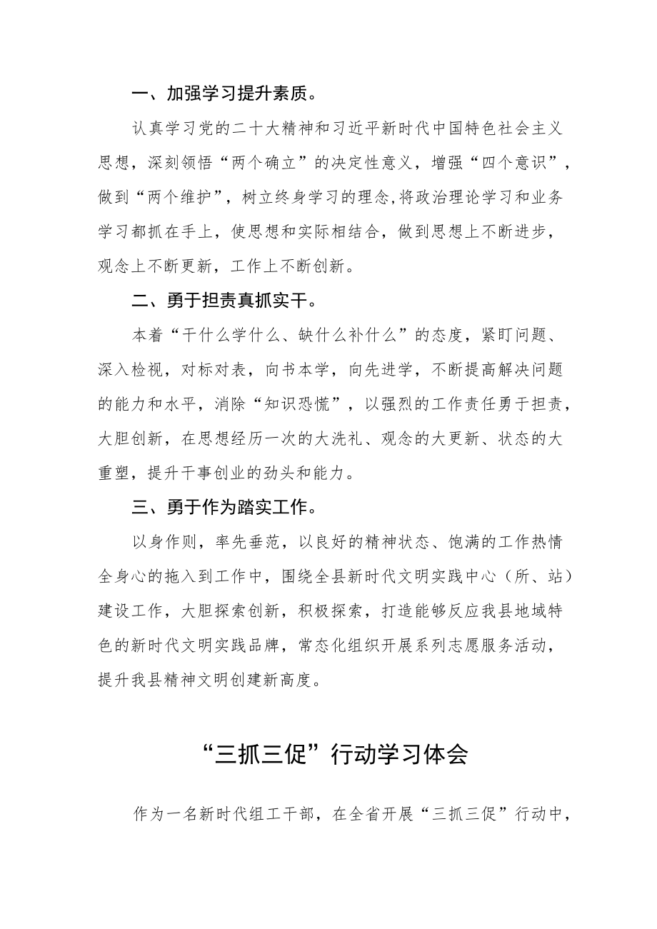 干部关于落实三抓三促行动学习体会3篇.docx_第3页