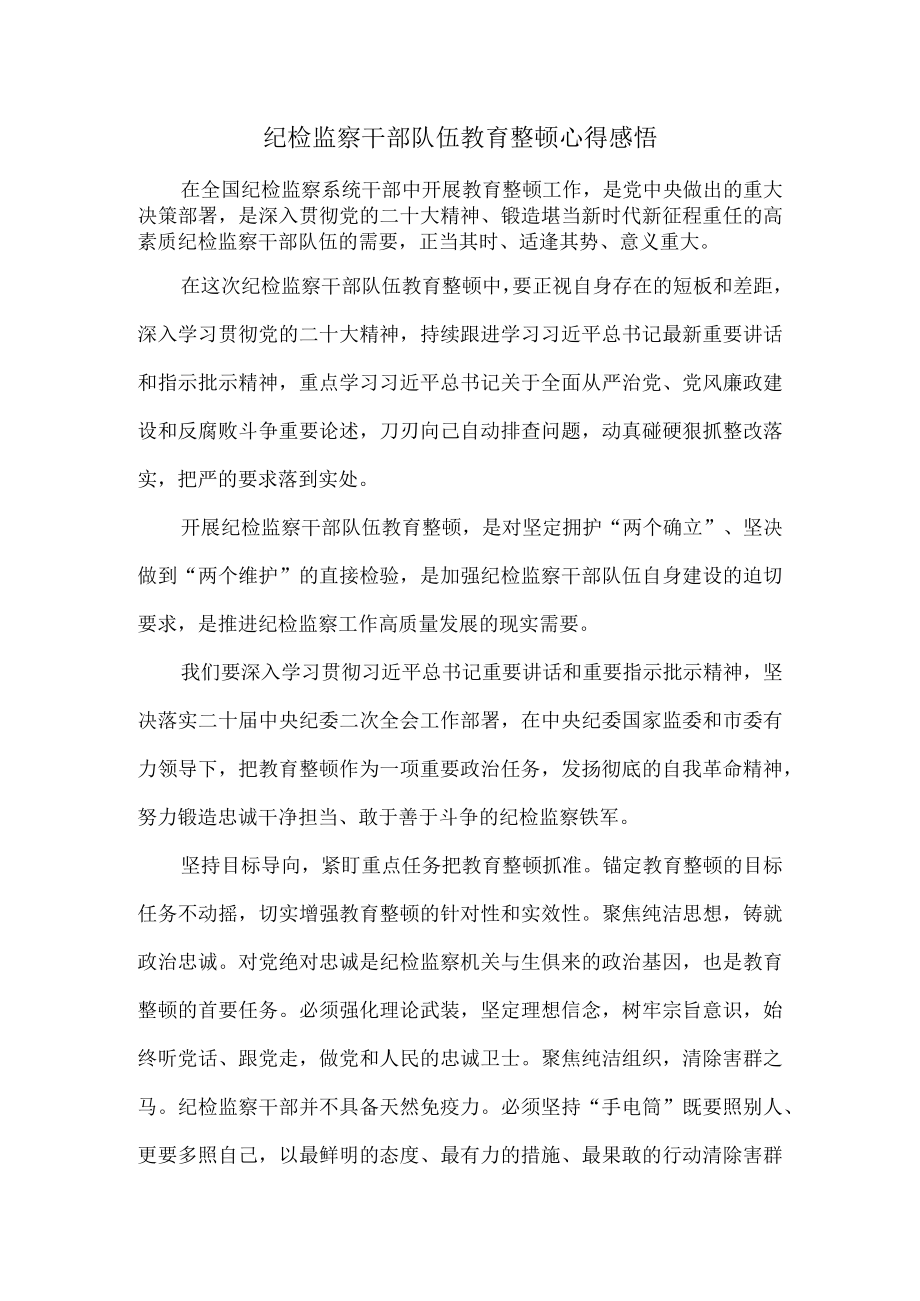 2023纪检监察干部队伍教育整顿心得感悟三.docx_第1页