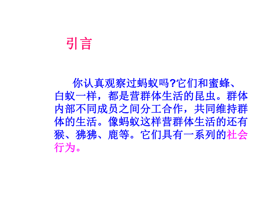 第三节社会行为精品教育.ppt_第3页