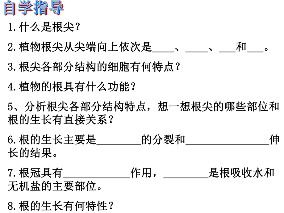 第二节根的生长精品教育.ppt_第2页