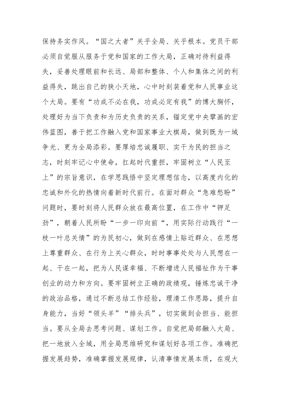 指导组在主题教育集中学习时的发言提纲和推进会议上的讲话范文汇编.docx_第3页