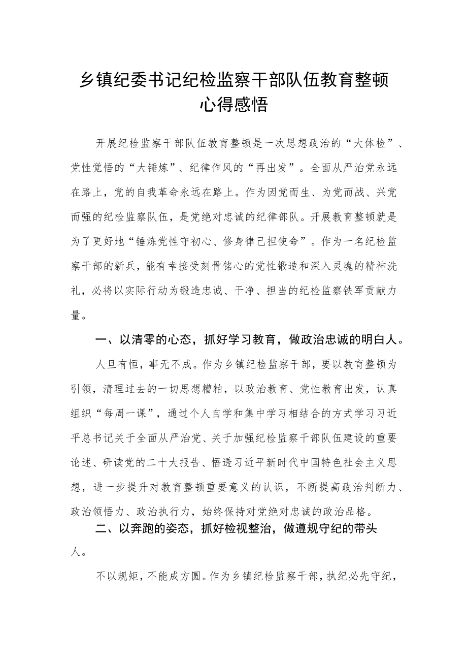 乡镇纪委书记纪检监察干部队伍教育整顿心得感悟.docx_第1页