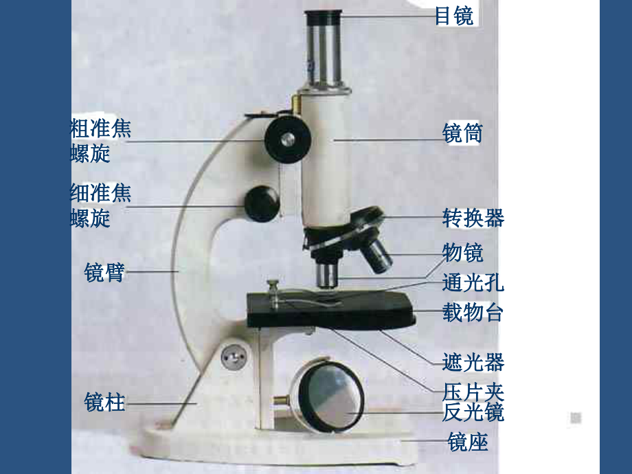 第二单元第一章第一节　练习使用显微镜精品教育.ppt_第2页