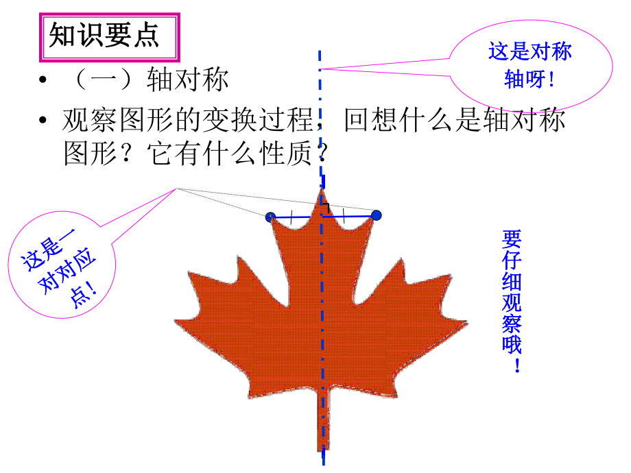 第十三章轴对称小结与复习精品教育.ppt_第3页