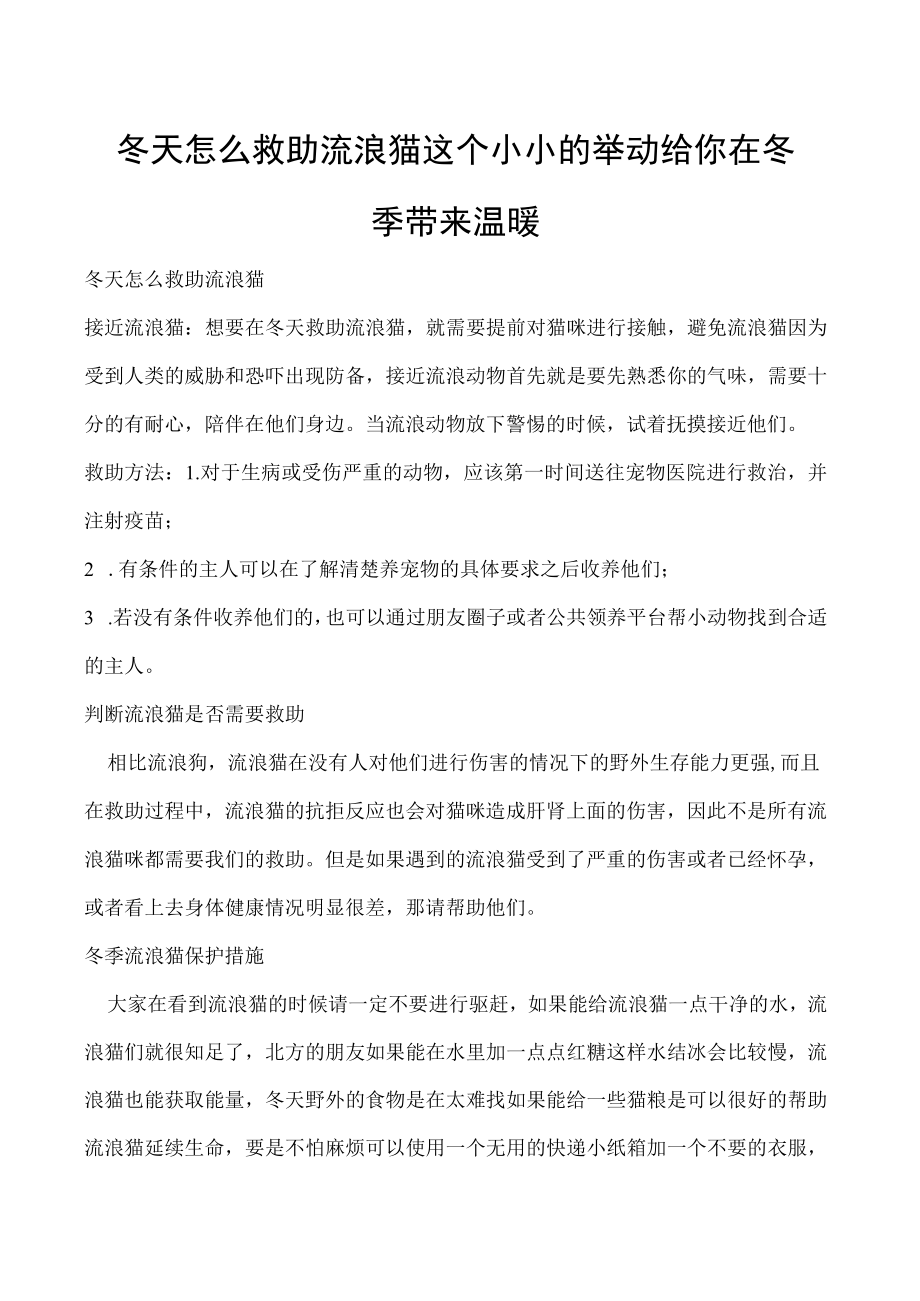 冬天怎么救助流浪猫 这个小小的举动给你在冬季带来温暖.docx_第1页