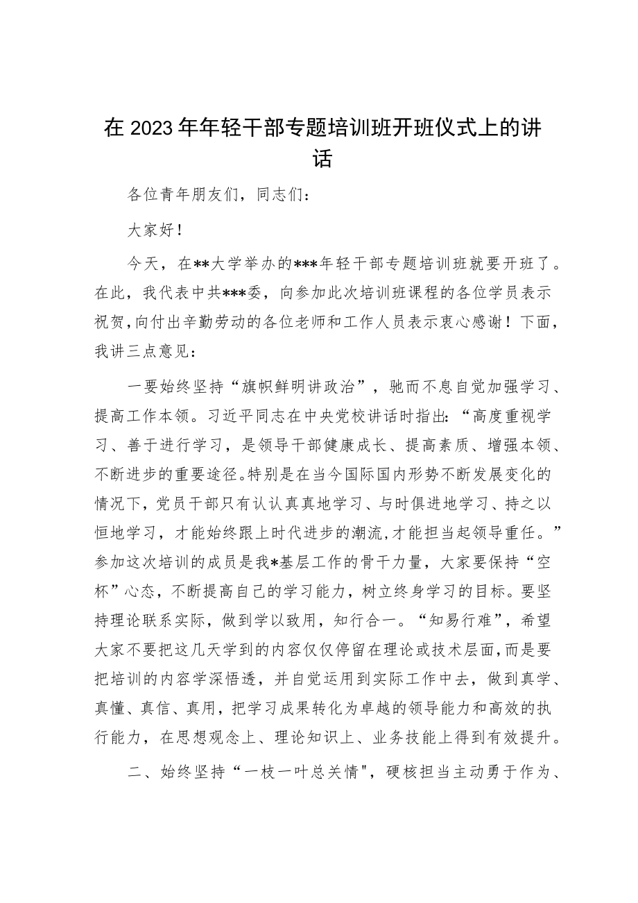 在2023年年轻干部专题培训班开班仪式上的讲话.docx_第1页