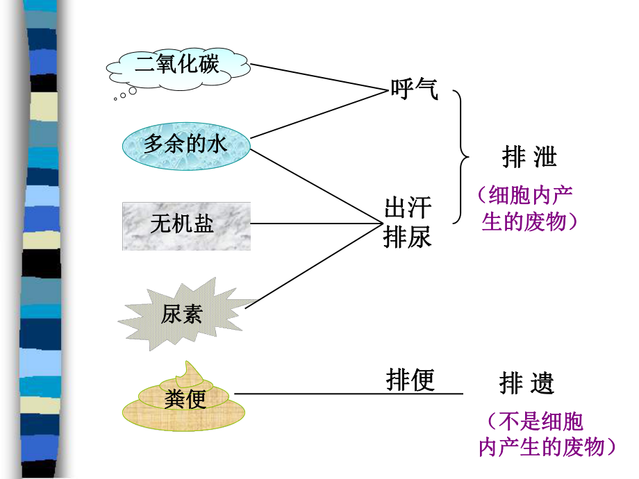 第五章人体内废物的排出复习肖鹏精品教育.ppt_第3页