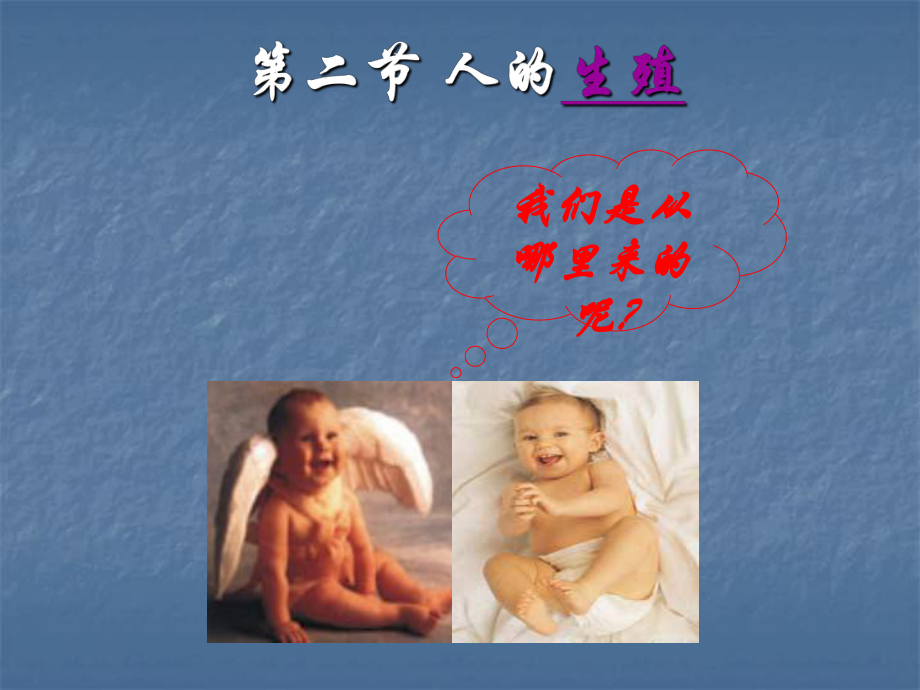 第二节人的生殖精品教育.ppt_第1页