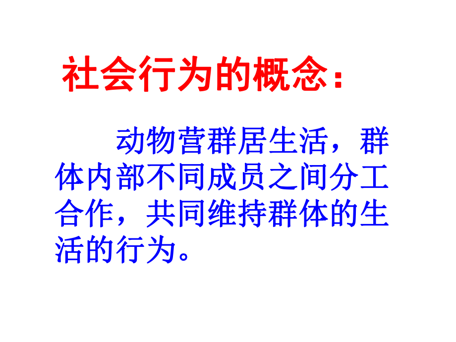 第二章第三节社会行为课件人教版精品教育.ppt_第3页