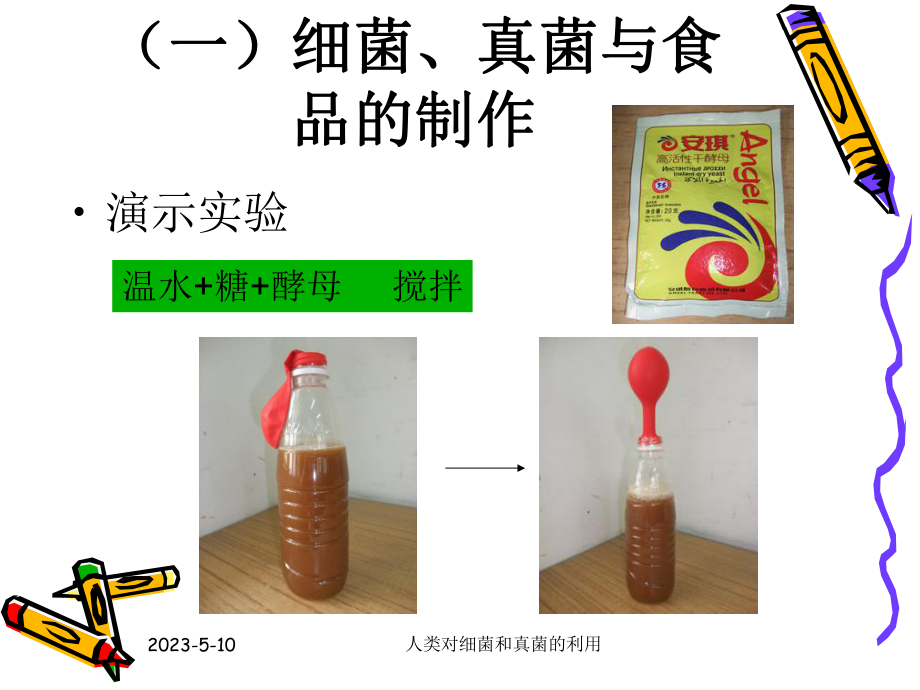 第五节人类对细菌和真菌的利用.ppt精品教育.ppt_第3页