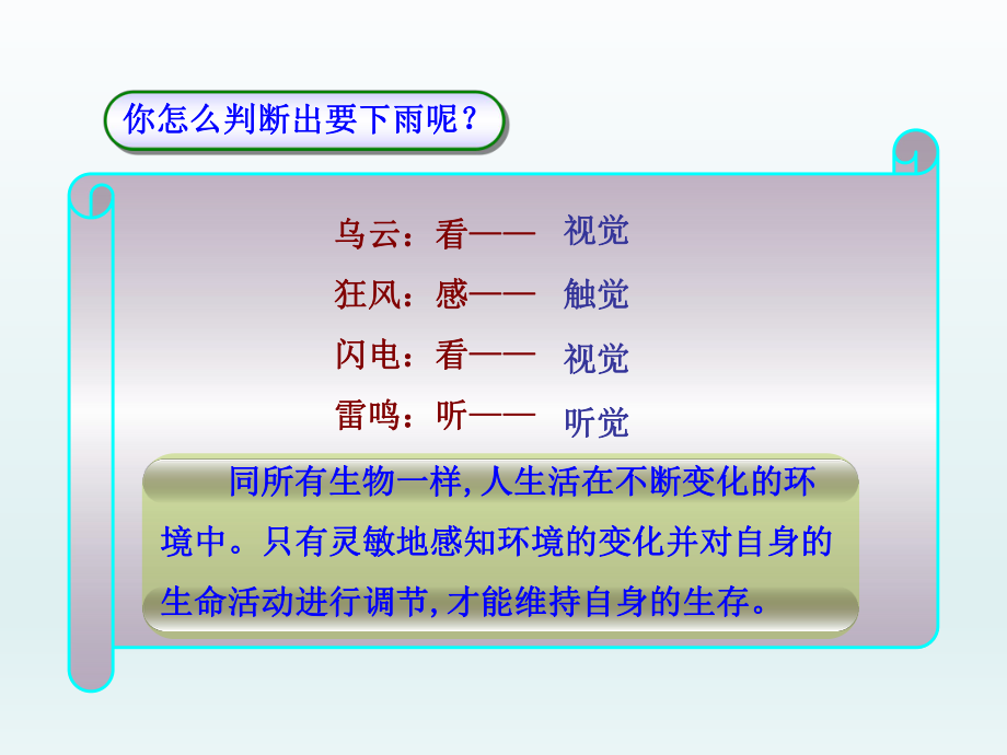 第六章人体生命活动的调节第一节人体对外界环境的感知精品教育.ppt_第3页