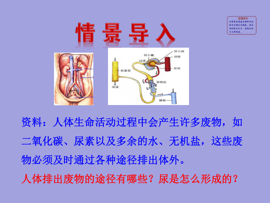 第五章人体内废物的排出精品教育.ppt_第2页