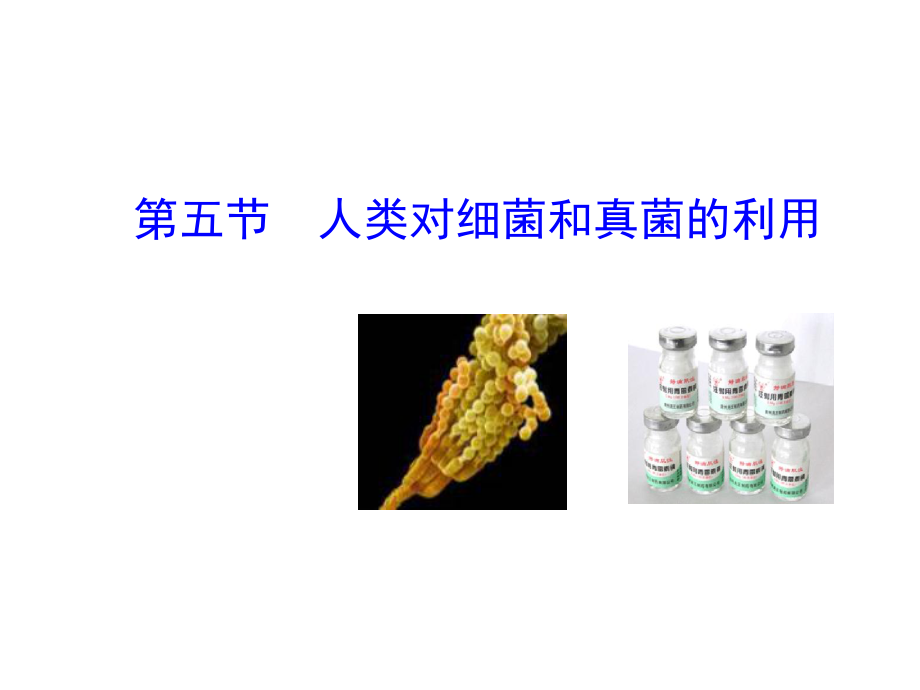 第五节人类对细菌和真菌的利用 精品教育.ppt_第1页