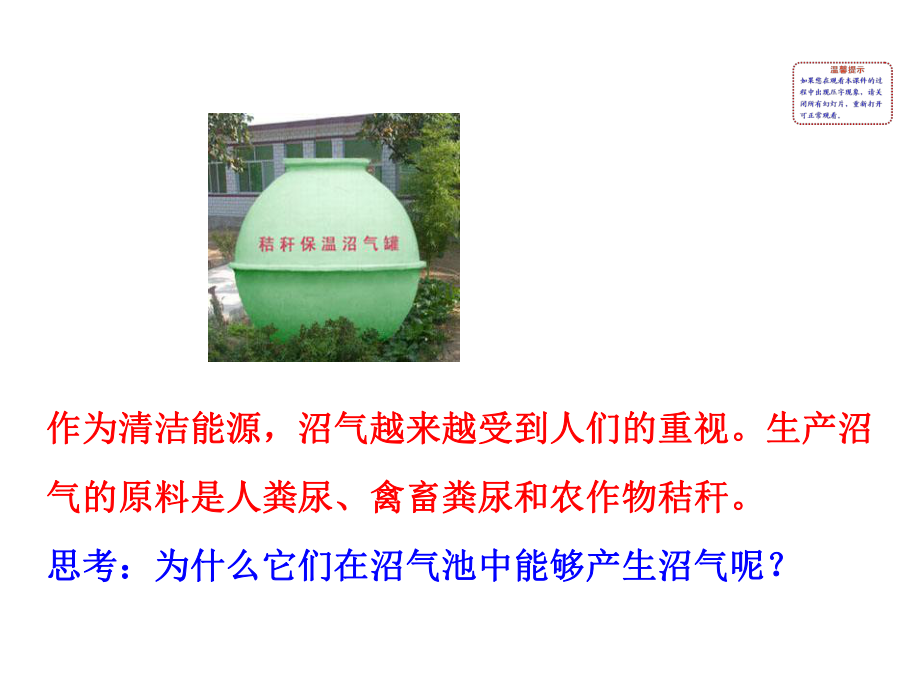 第五节人类对细菌和真菌的利用 精品教育.ppt_第2页